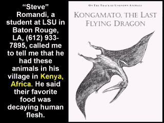Pterodactylus in Kenia oft gesichtet
