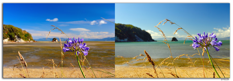 NZ0617.Puponga Point