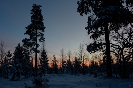 SE0029 Morgenrot