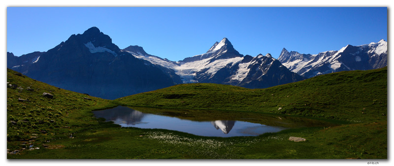 GW0357.Schreckhorn im Bergseespiegel