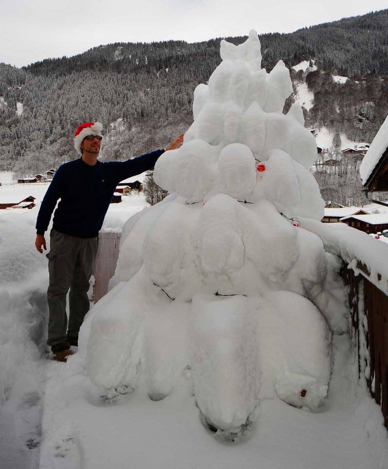 Weihnachtsbaum 2011-12 Grössenvergleich / Christmas tree 2011-12 Size comparison
