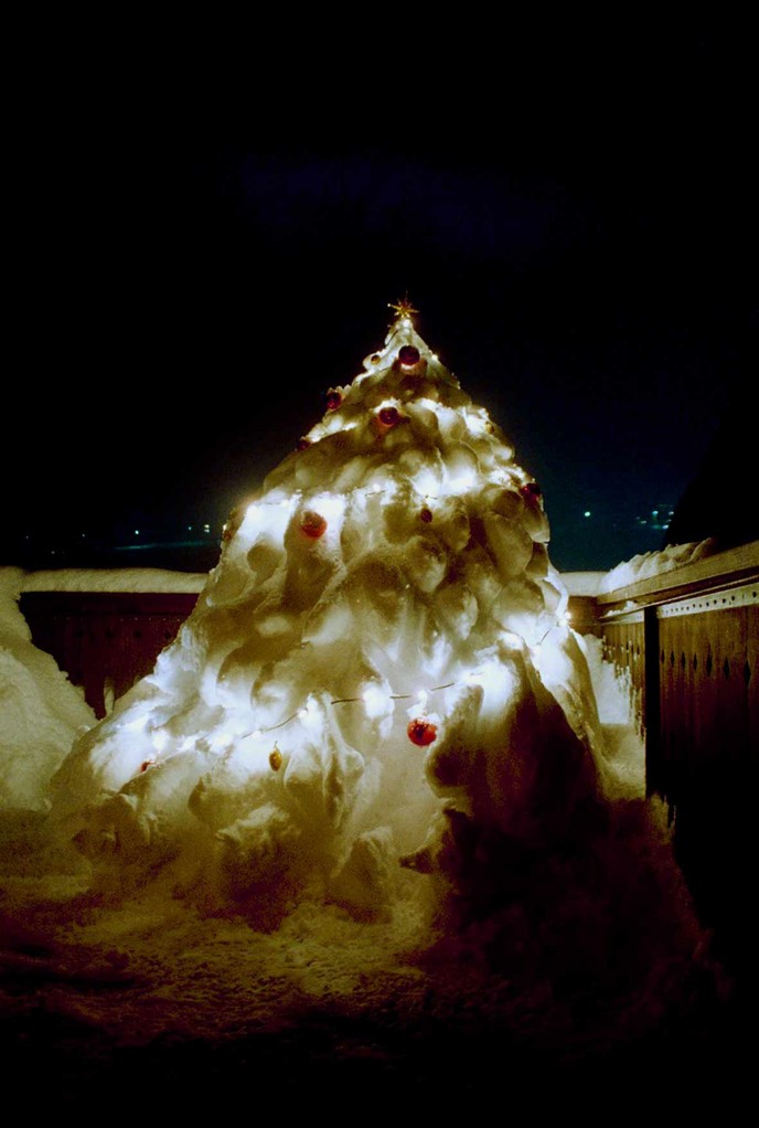 Weihnachtsbaum beleuchtet / Illuminated Christmas tree