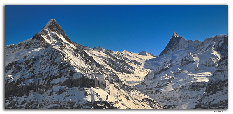 GW0067.Schreck- und Finsteraarhorn