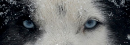 SE0012 Blue Eyes