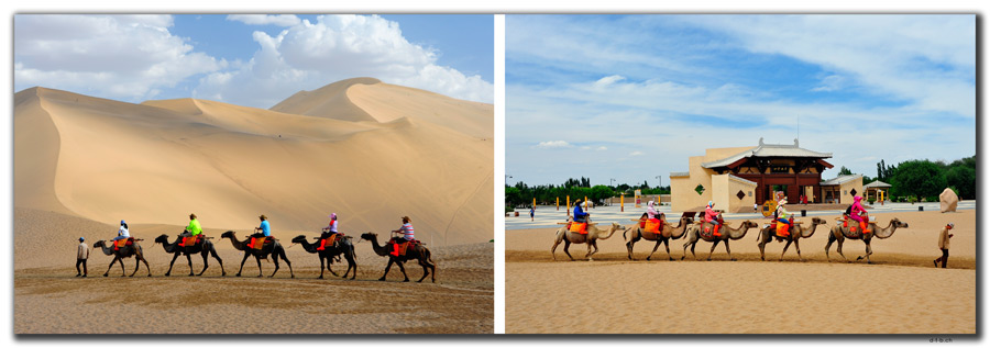 CN0092.Dunhuang.Camelride
