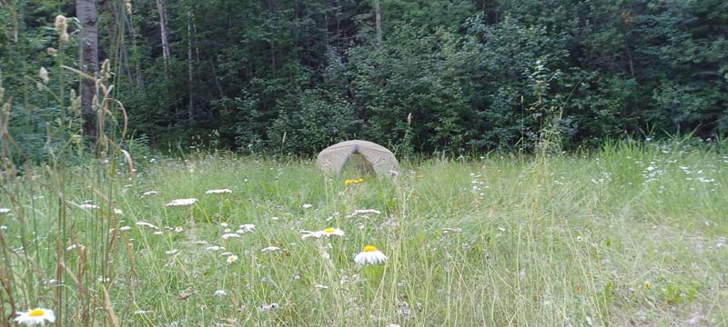 CA. Wild Camp with Solatrike in Cinema