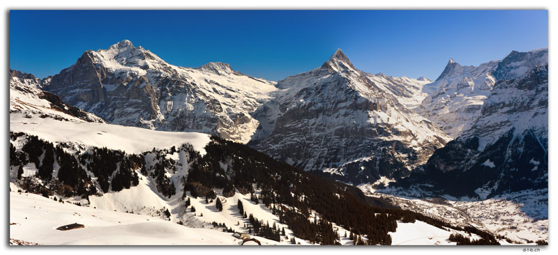 GW0068.Wetter-, Schreck- und Finsteraarhorn