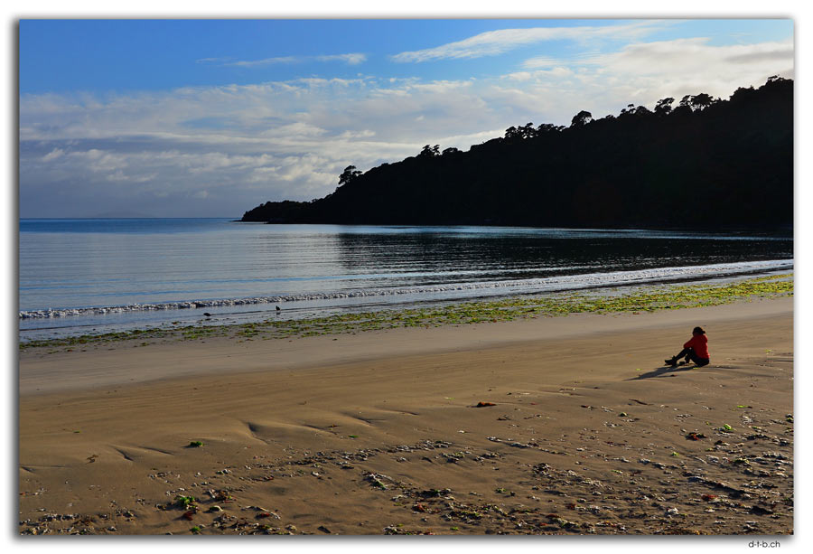 Stewart Island.Rakiura Track.Maori Beach