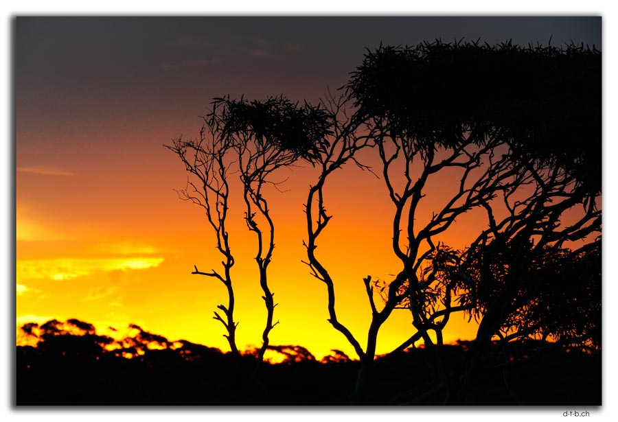 Sunset in Nullarbor N.P.