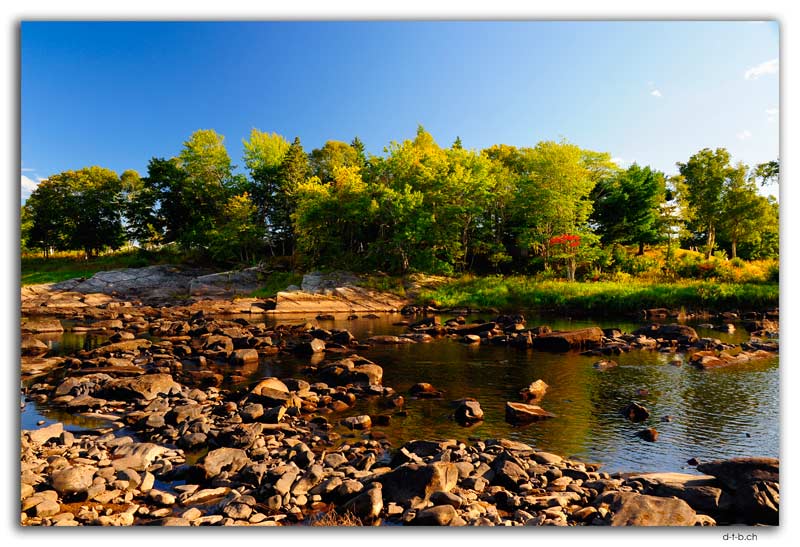 Sherbrooke.Oak Tree Pool