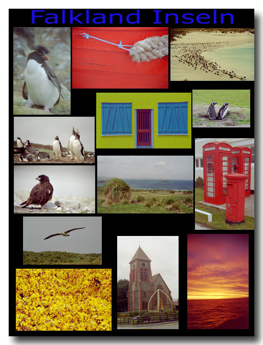 Falkland Inseln (Las Malvinas) / Falkland Islands