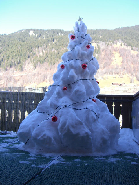 Weihnachtsbaum 2006-07 / Christmas tree 2006-07