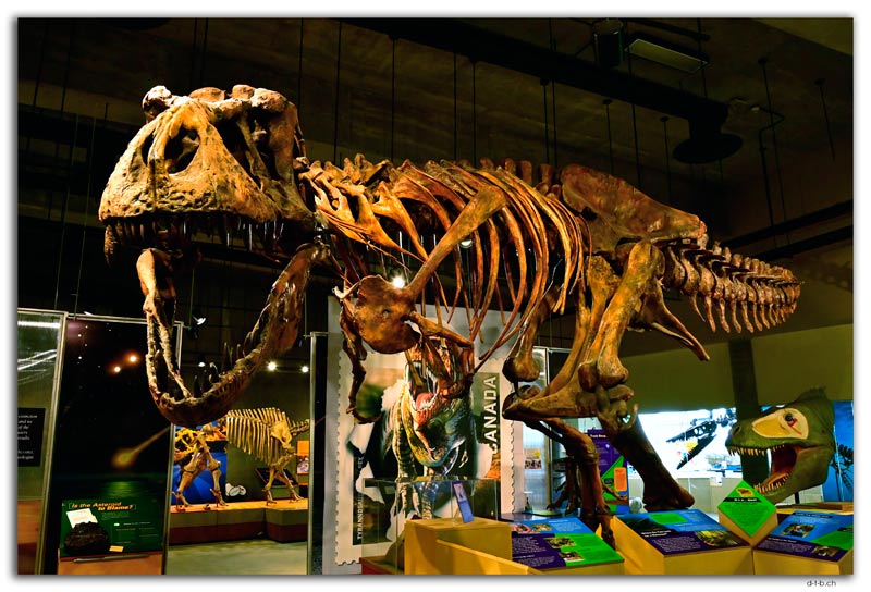 T-Rex Scotty.Eastend