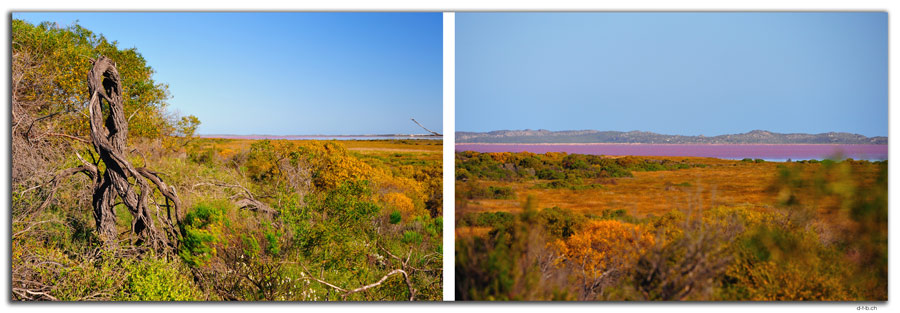 AU0479.Hutt or Pink Lake