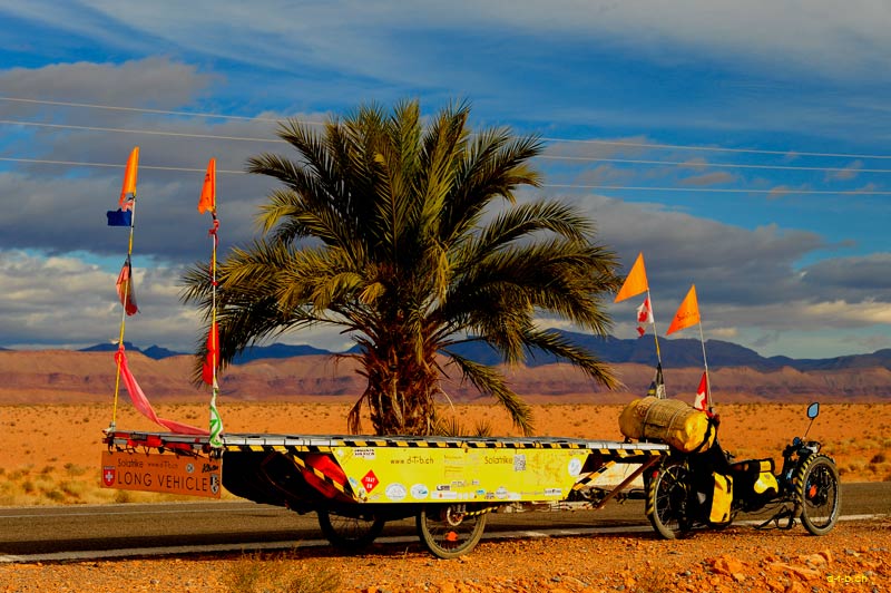 Solatrike and palm tree