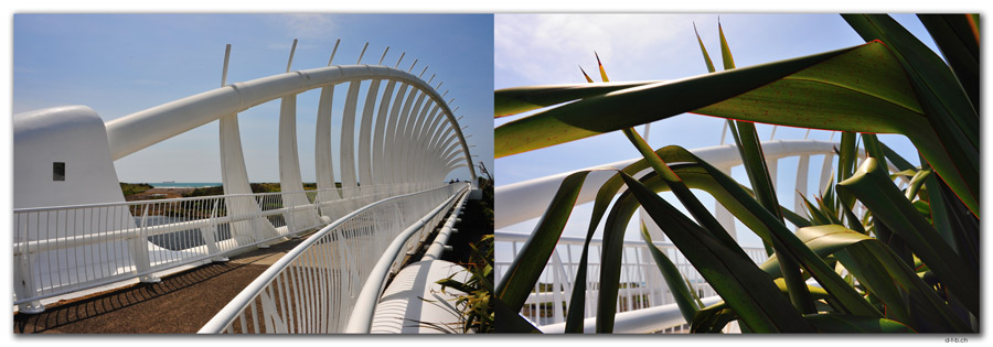 NZ0363.New Plymouth.Te Rewa Rewa Bridge