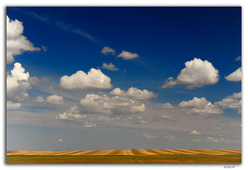 Prairie