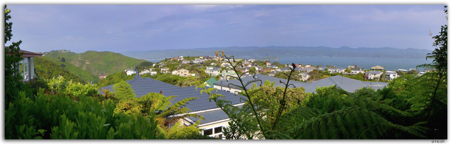 NZ0447.Wellington.Aussicht von Khandallah