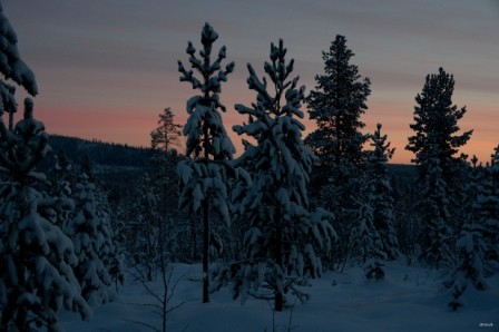 SE0030 Morgenrot