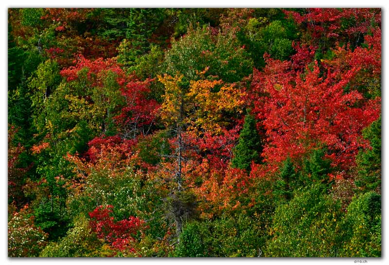 Timberlea.Bluff Trail