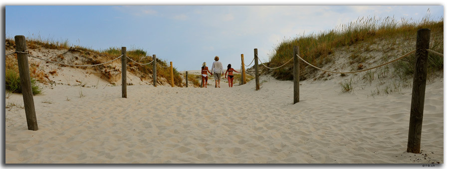 PL297.Leba.Strand