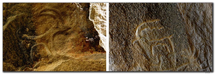 AZ097.Qobustan.Steinbock
