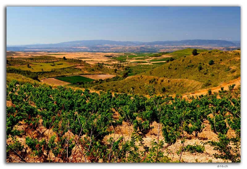 Landscape in Rioja