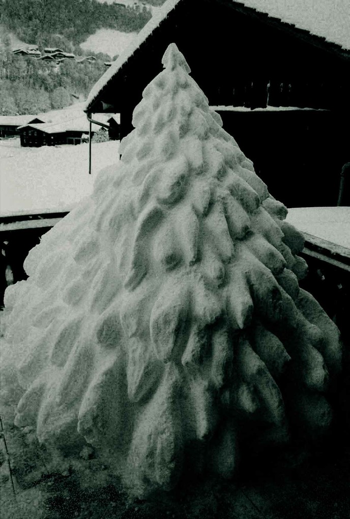Weihnachtsbaum aus Schnee 2005-06 / Christmas tree of snow 2005-06