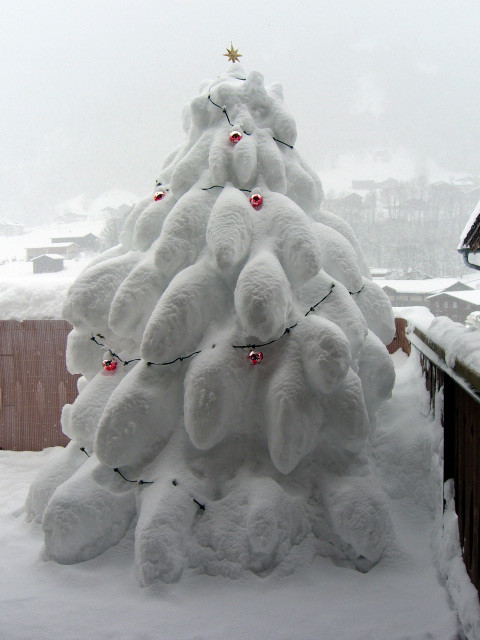 Weihnachtsbaum 2010-11 / Christmas tree 2010-11