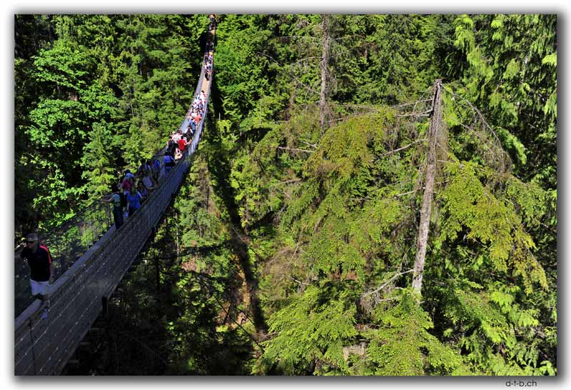 Vancouver.Capilano Suspension Bridge