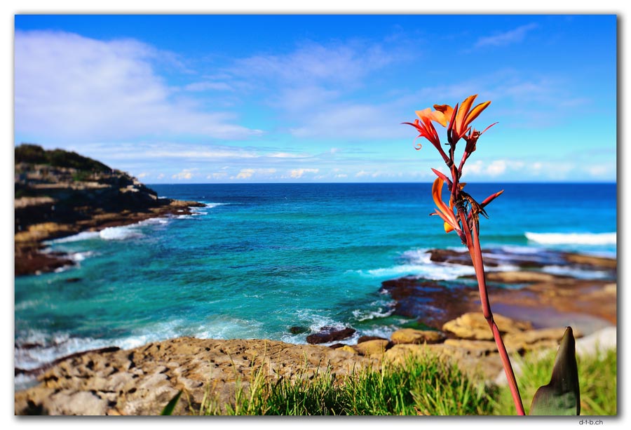 Tamarama Point