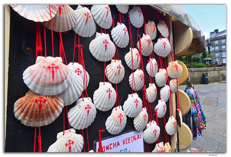 Santiago de Compostela.Pilgrim shells