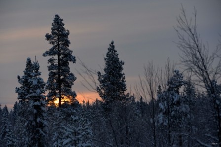 SE0031 Morgenrot