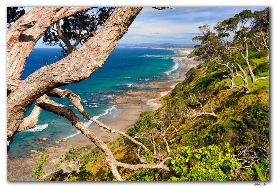 Mangawhai Head Beach. Cliff Top Walk