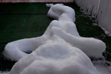 Schneeskulptur "Aufgewacht"