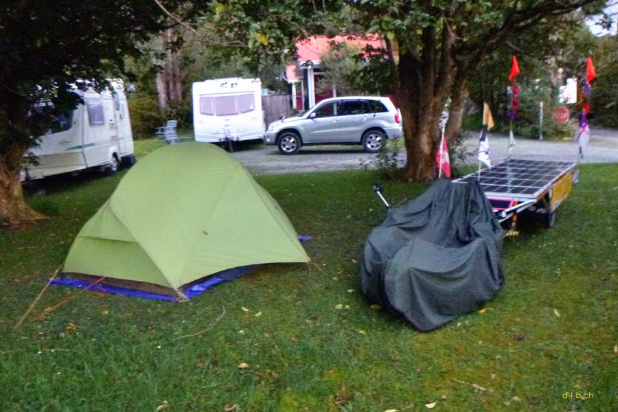 Camp under the trees