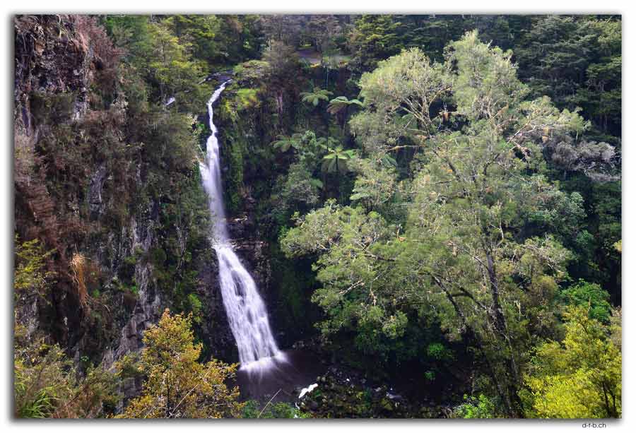 Whangarei. AH Reed Park. Pukenui Falls