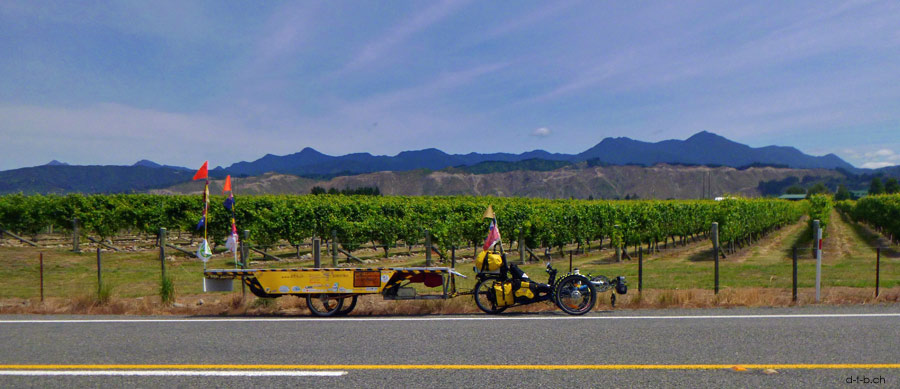 NZ: Solatrike in den Weinbergen des Wairau Valley
