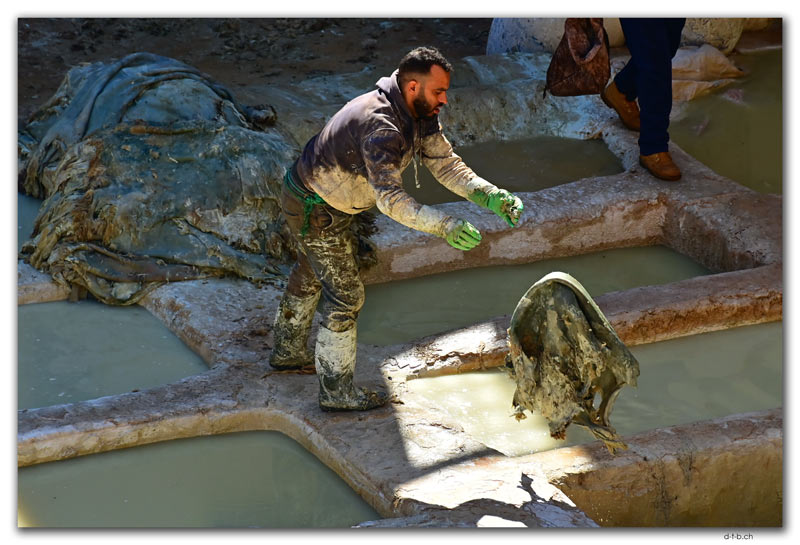 Fès.Tanneries