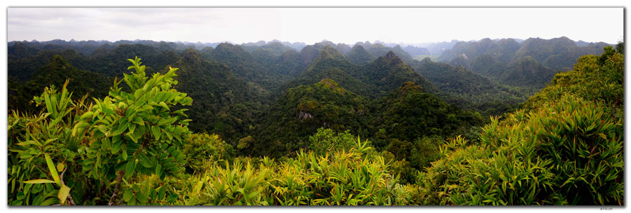 VN0024.Cat Ba