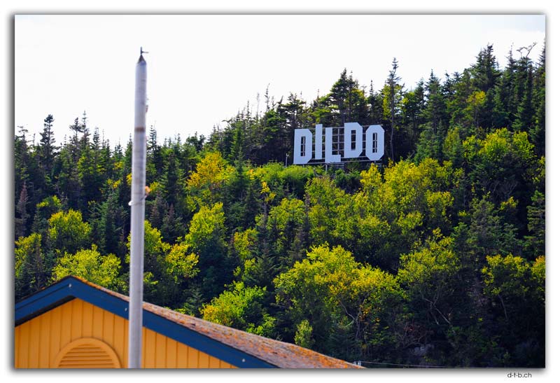 Dildo