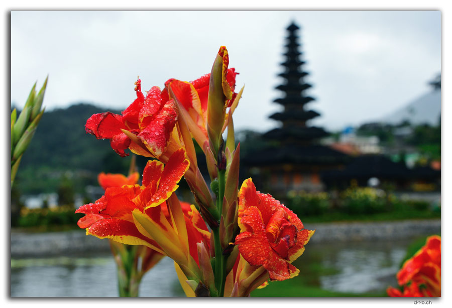 Bedugul.Pura Tunjung Beji Ulun Danu