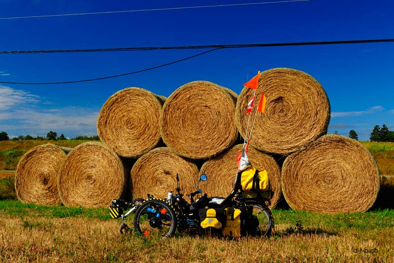 Triking on PEI
