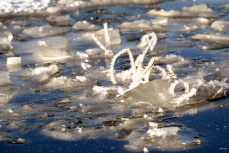 SE0001 Eisskulptur