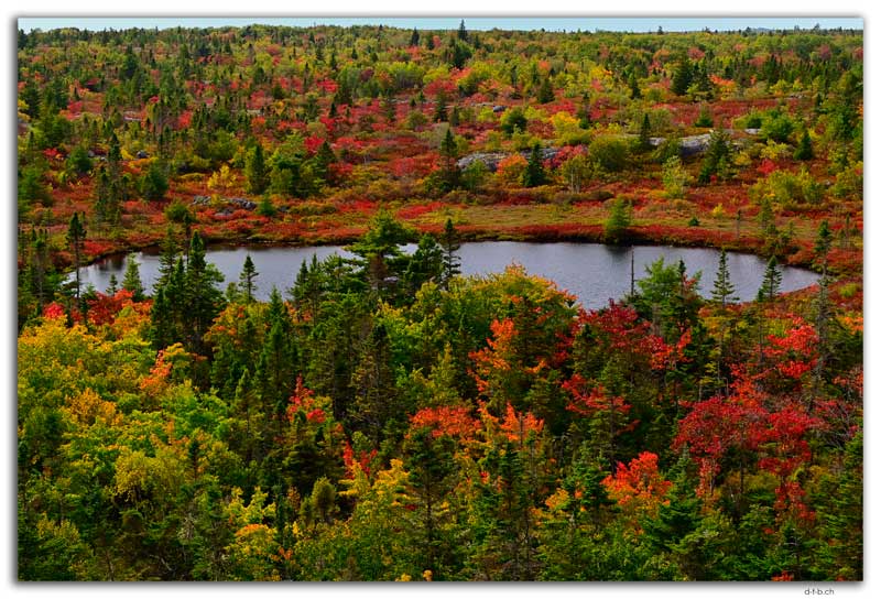 Timberlea.Bluff Trail