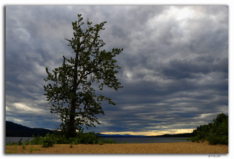 Whiskers Point at McLeod Lake