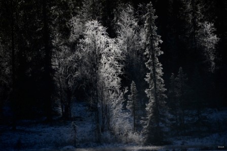 SE0007 Gegenlicht