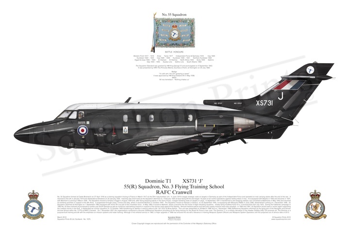 Hawker Siddley 125  Dominie 55(R) Squadron plaque