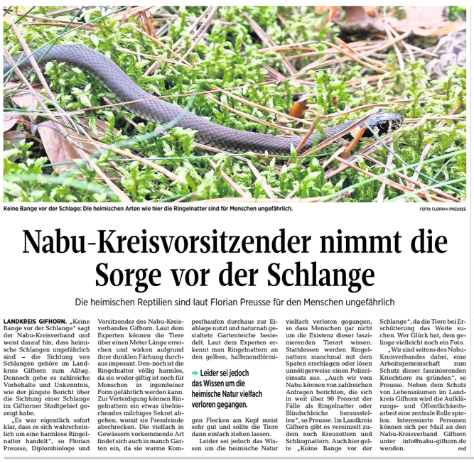 Aller Zeitung 10.07.2020