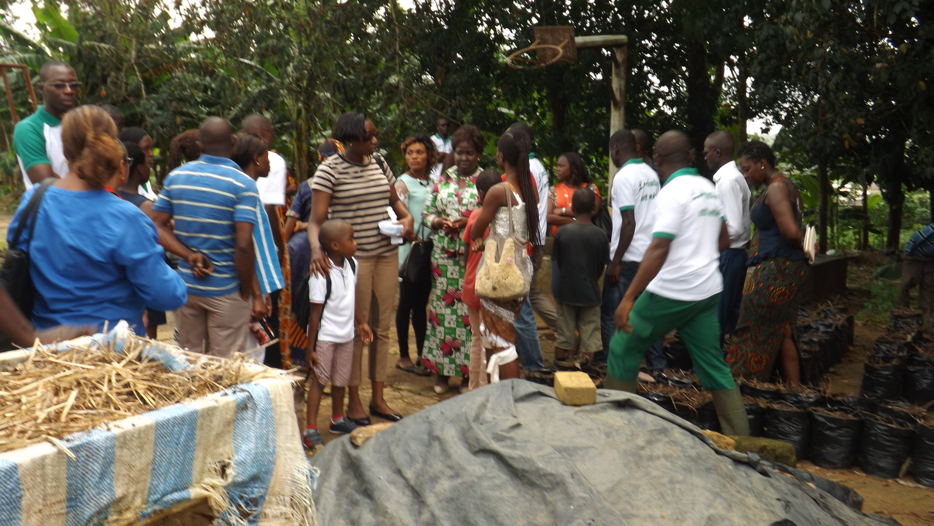 Visite de stands à tshanfefo